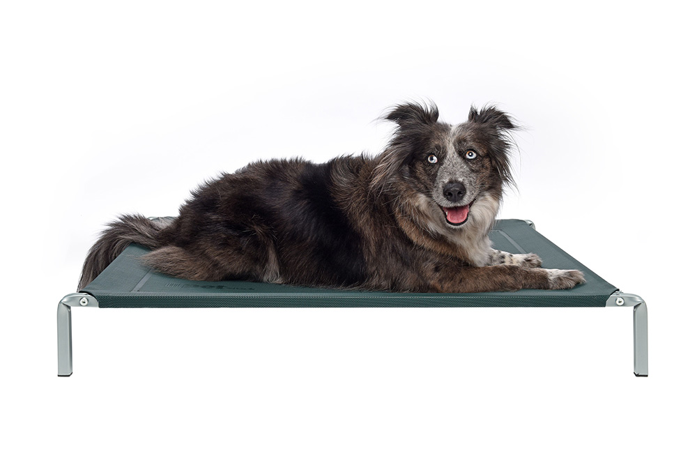 Looking for a dog bed with style, comfort & durability? Our premium powder coated dog beds are long lasting, stylish & come in 3 colours.